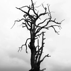 That's The Circle of Life (demo)