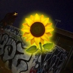 SunShine((Freestyle) 💩