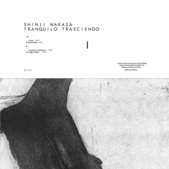 SHINJI WAKASA / Tranquilo Trasciendo - rera