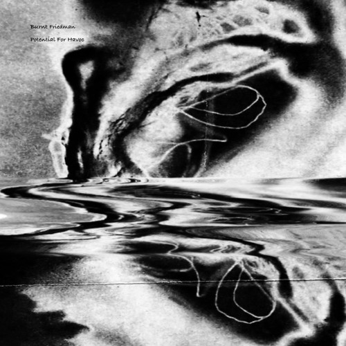 Burnt Friedman - Collapse Of Meaning
