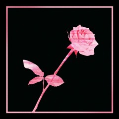 Rosé - Fallin' All In You (cover)