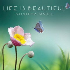 Salvador Candel - Life is Beautiful-