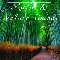 Music & Nature Sounds