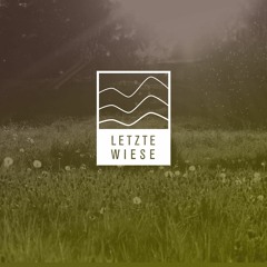 Dompe @ Die Letzte Wiese Festival 2019