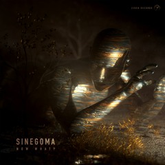 Sinegoma - Now What? (out now!)