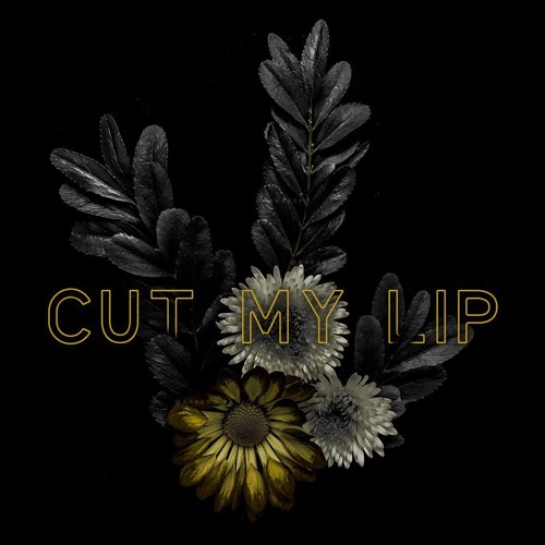 Cut My Lip