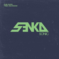 Dub Phizix - Item [SenkaSonic]