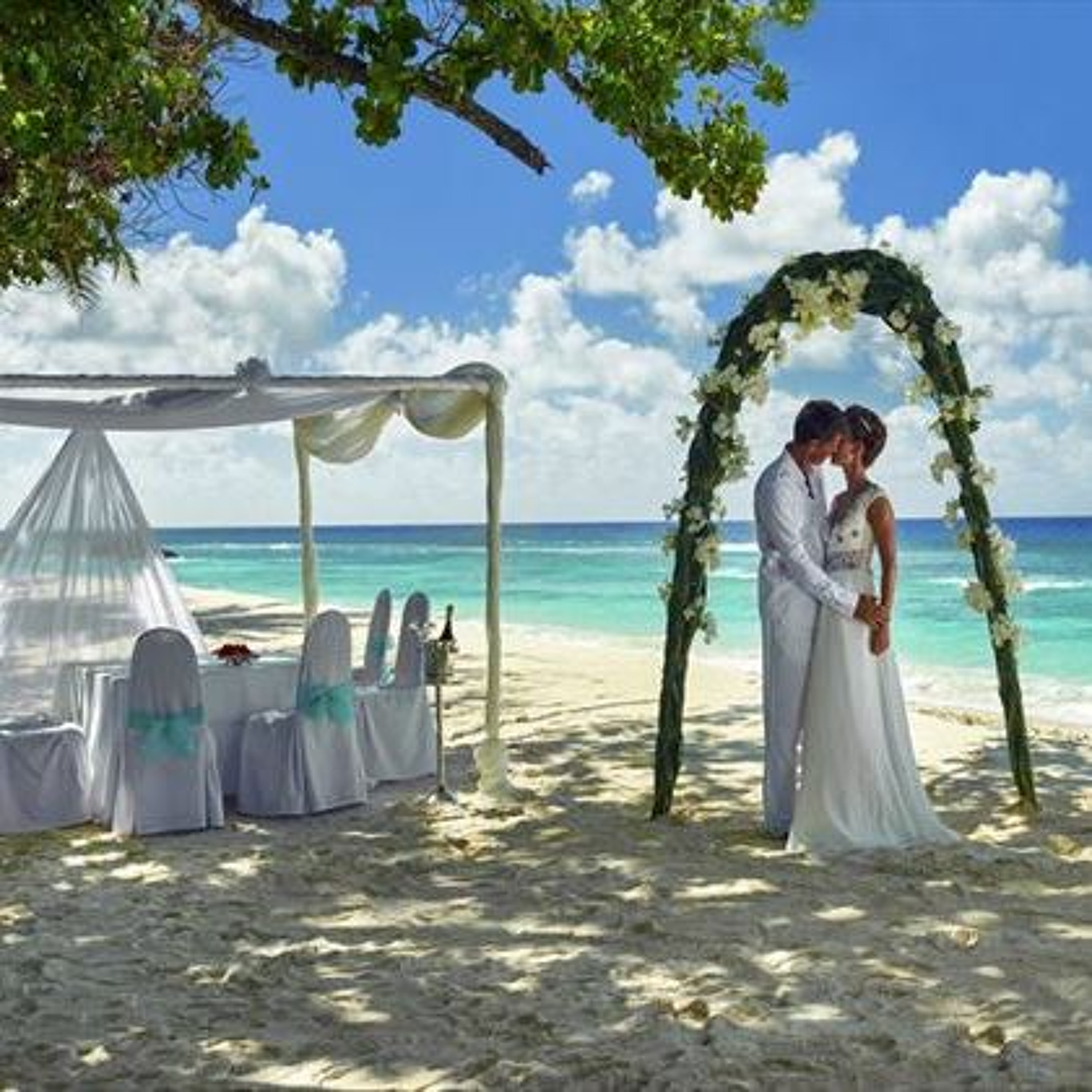 2oceansvibe.com