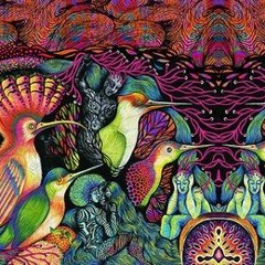 neuroKiller - Krivopijac Kasdeya [255] FREE DL !