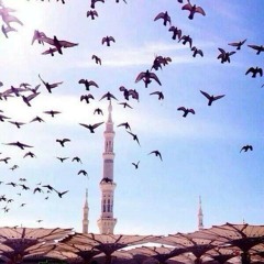 وَلِمَنْ خَافَ مَقَامَ رَبِّهِ جَنَّتَانِ | ناصر العصفور