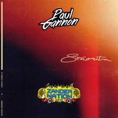 Shawn Mendes & Camila Cabello - Senorita (Paul Gannon & Zander Nation Bootleg) [Free Download]