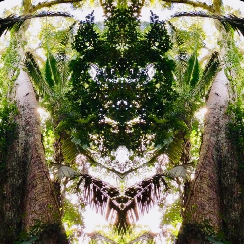 Infinite Awakening ✦ An Ode to the Amazon
