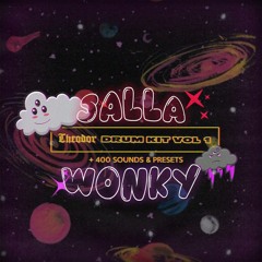 wonky (theodor sample pack demo)