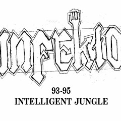 Dj Infekto : 93-95 intelligent jungle