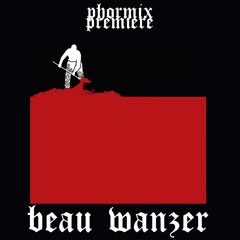 Premiere #60 Beau Wanzer - Baby Love [Suction Records]