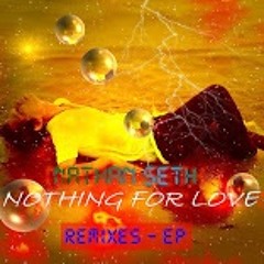 Nathan Seth - Nothing for Love (Teknartist & Webster Extended Mix).mp3
