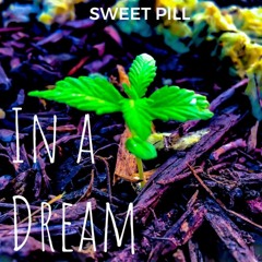 In A Dream