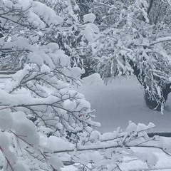 Masterpiece (Big Thief cover)