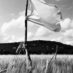 astoldbychi - White Flag