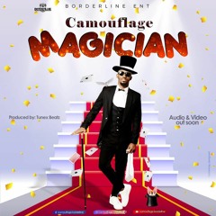 Camouflage-Magician