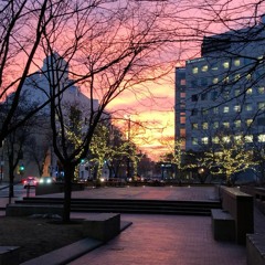 Falling In Love Again