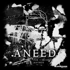 Premiere: Aneed- For 5 Seconds Mayhem [BLCKCHN014]