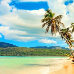 [FREE FOR PROFIT] "Paradise' Dancehall x Pop Swae Lee x Drake Type Beat 2019