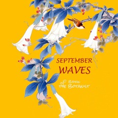 September Waves 2019
