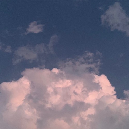 내 꿈은 당신과 나태하게 사는 것 (cover)