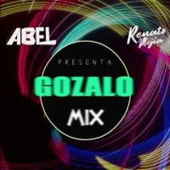 Gozalo Mix - DjRenato Mejía Ft, DJ Abel
