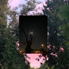 THE APPLE THAT FELL FAR FROM THE TREE SIDE B TRACK 1