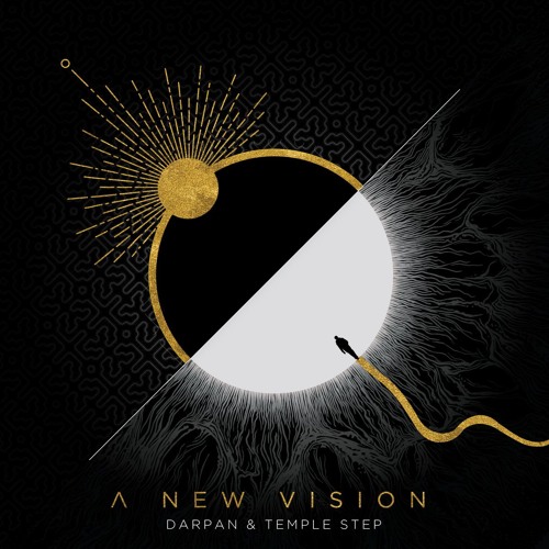 A New Vision - Dancefloor (With Darpan)