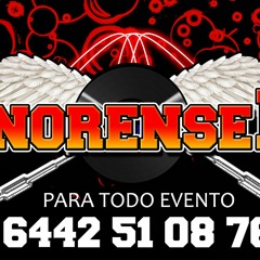 Elefanttito0'Mix En Vivo DJ SONORENSE