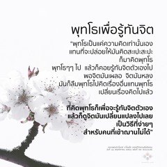กรอบการปฏิบัติ :: หลวงพ่อปราโมทย์ ๑๑ พ.ย. ๒๕๖๑ (611111A)