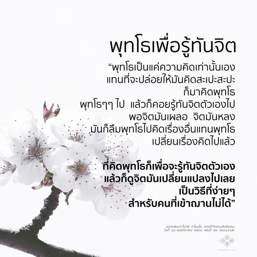 กรอบการปฏิบัติ :: หลวงพ่อปราโมทย์ ๑๑ พ.ย. ๒๕๖๑ (611111A)