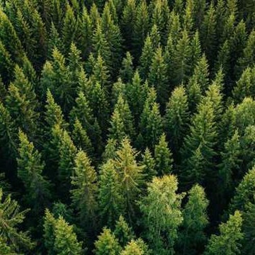 Ruby Plexus - Father And Grandmother