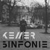 Kellersinfonie °18 - DANIEL GREGORI DJ mix artwork - Electronic music tracklist cover image