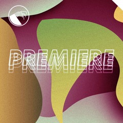 DT PREMIERE: AIR LQD - A Foolish Game [PRECEPT017]