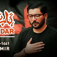 Nohay 2019 | Haye Alamdar Haye Alamdar | Mir Hasan Mir