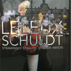 MANTEL for string orchestra and 2 Percussion (excerpt) (2018)