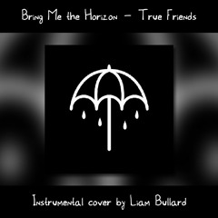 "True Friends" - Bring Me the Horizon: Instrumental Cover by Liam Bullard