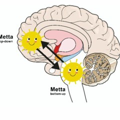 12. Veiligheid Creëren Via Het Lichaam