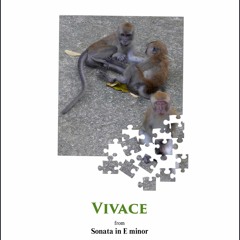 Vivace (from Sonata in E minor) arr. Flute Trio