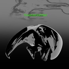IVTM1 - Frank Wiedemann & Roman Flügel - Tears On The Dancefloor - Transmoderna EP