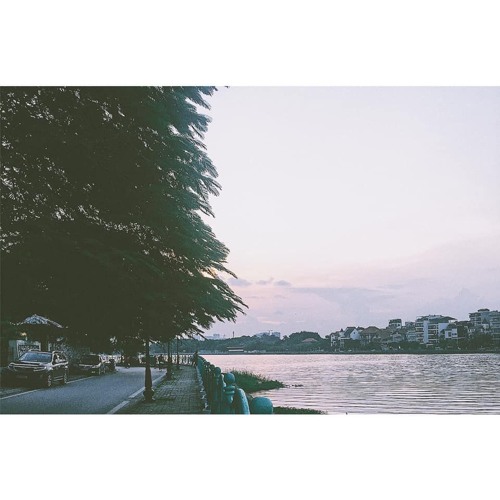 Vì sao cố giấu đi thật thà - Lê Cát Trọng Lý