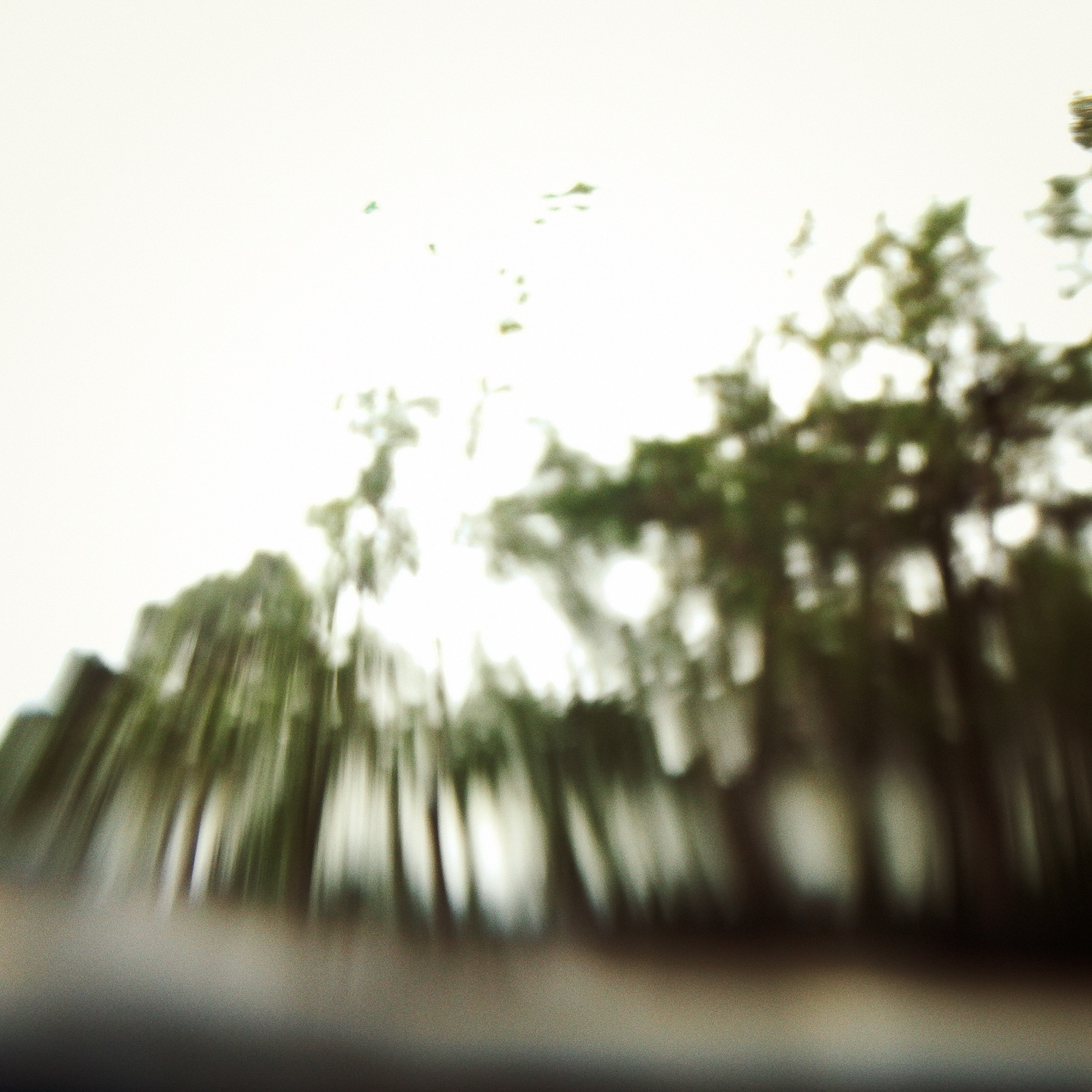 Water In The Forest episode artwork