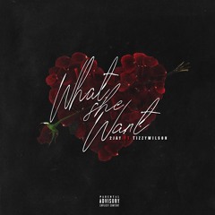 What She Wants x (Tizzywilson)
