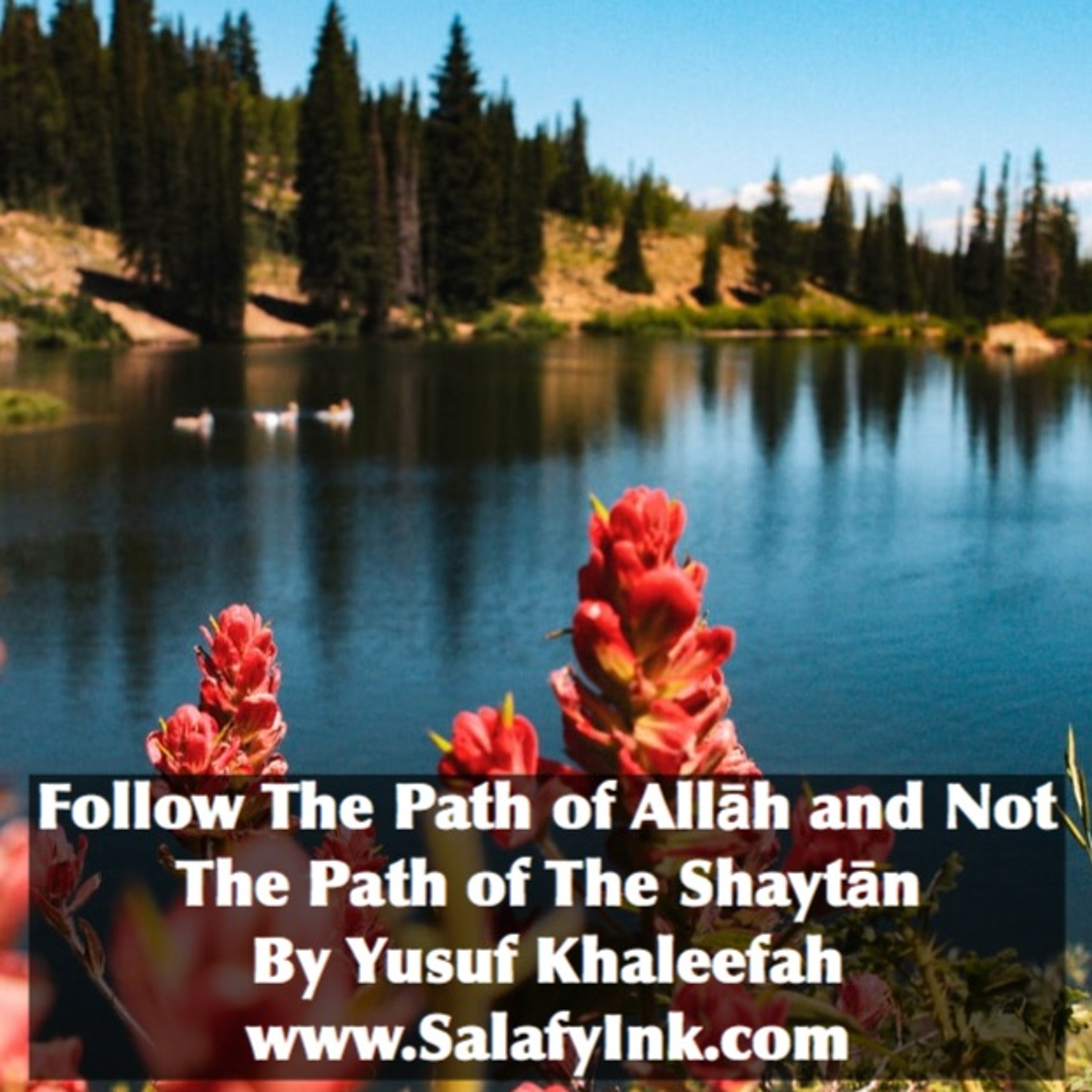 Follow The Path of Allāh and Not The Path of The Shaytān By Abu Yusuf Khaleefah episode artwork