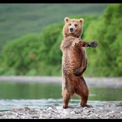 GrizZly Old School Garage Vinyl Mix