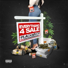 Everything 4 Sale (feat. DreamerMaul)
